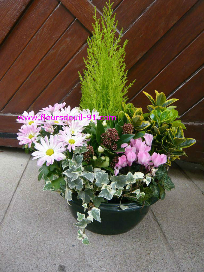 Coupe de plantes pastel